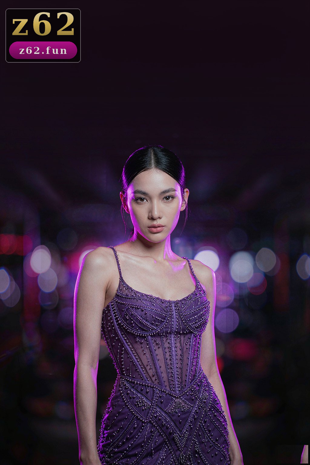 z62 ပင်မစာမျက်နှာ ဖြည့်စွက်ပုံ